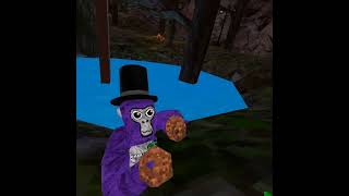 The pool prankster #gorillatag