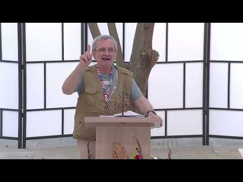 Desculti Homecoming Viena 2025 - Sesiunea I