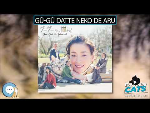 Gū Gū Datte Neko de Aru 🐱🦁🐯 EVERYTHING CATS 🐯🦁🐱