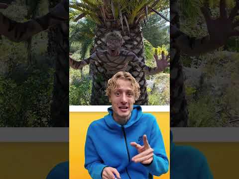 TOP 10 DES MEILLEURS CAMOUFLAGES