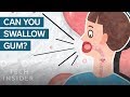 Here's What Happens In Your Body When You Swallow Gum | The Human Body