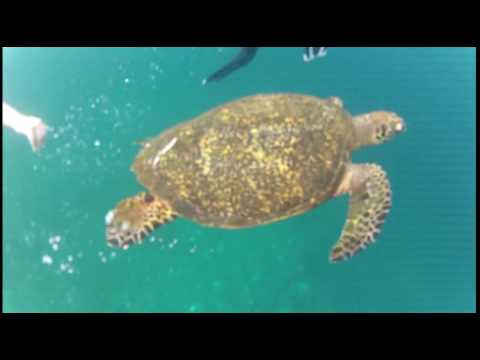 Indonésie Bali, Lombok