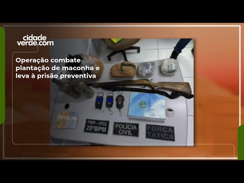 Operação combate plantação de maconha e leva à prisão preventiva