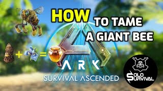 How to Tame A Giant Bee | Ark Survival Ascended | The Island