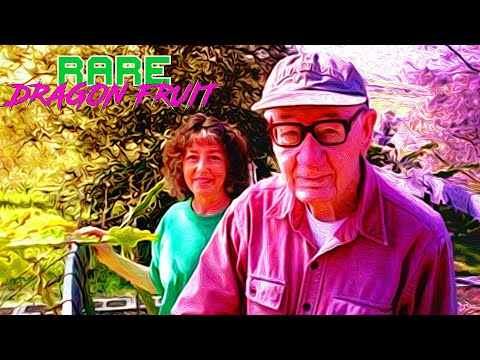 Paul Thomson DRAGON FRUIT SEEDLING TOUR / Part 2 ( A Promising New FRUIT CROP )