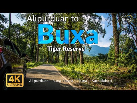 Alipurduar to Buxa | Damanpur, Raja Bhat Khawa, Buxa Tiger Reserve, Santalabari | 4K Drive