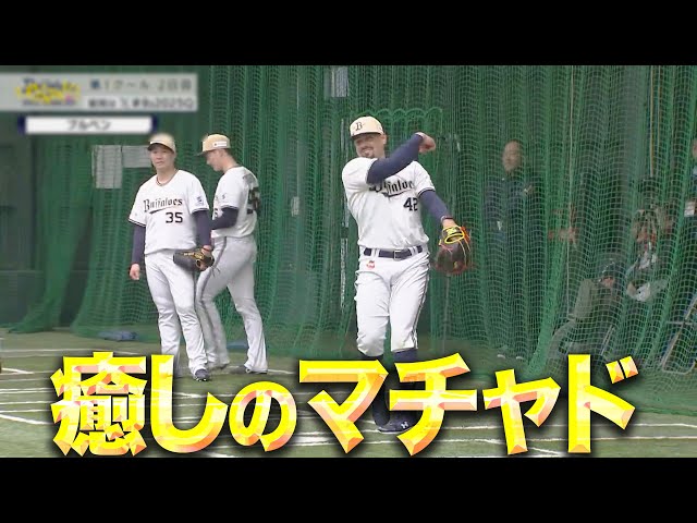 【雰囲気◎】マチャド『楽しそうで何より…キャンプ序盤から癒し振り撒く』