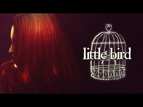Video thumbnail for Little Bird