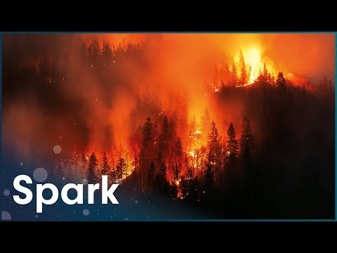 Why Wildfires Are Becoming More Powerful