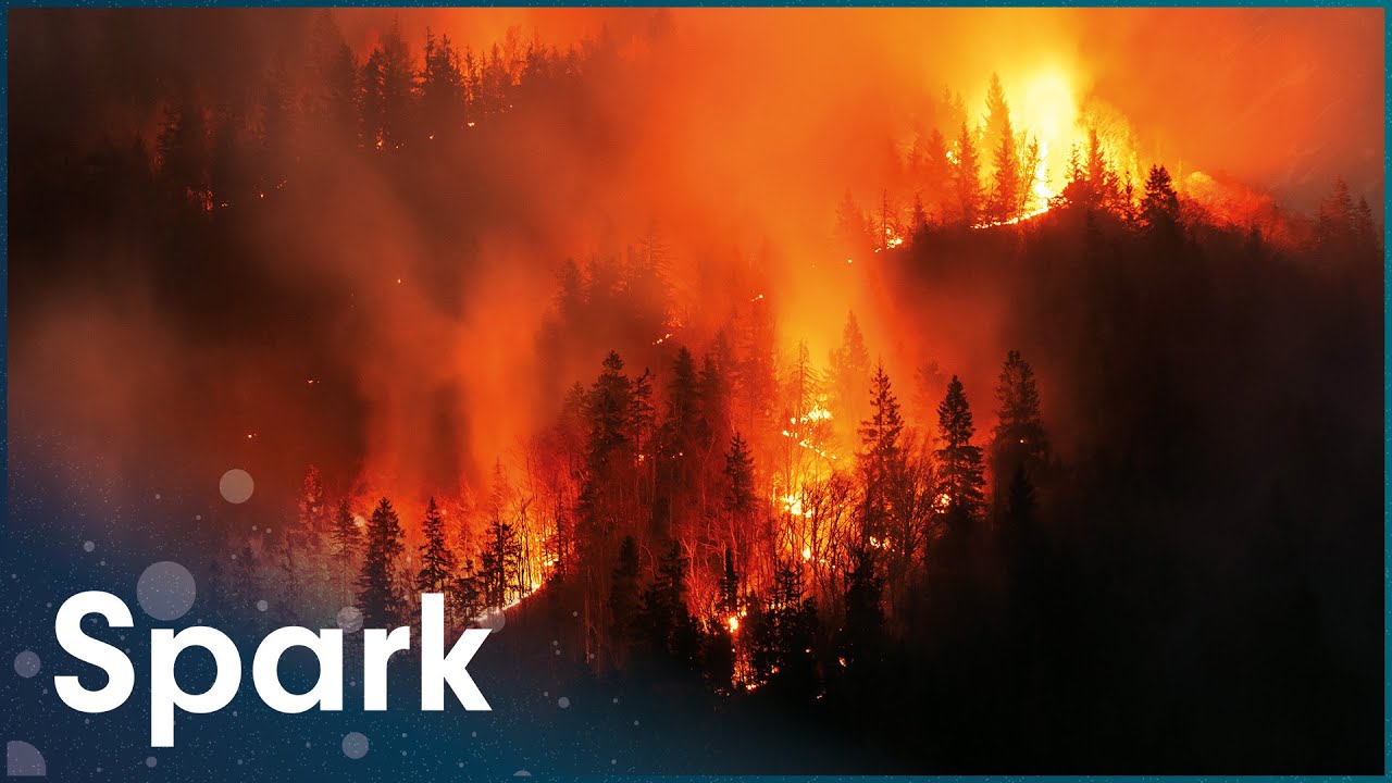 Why Wildfires Are Becoming More Powerful
