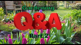 8 Questions and Answers Part 2