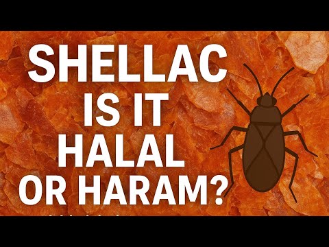Schellack – ist er halal oder haram?