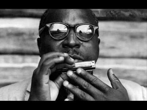 Sonny Terry - Whoopin' The Blues