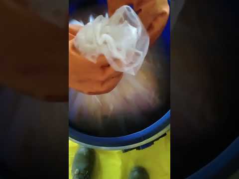 Selenium Sulfide Usp Micronised Powder