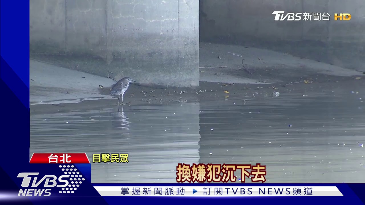 驚險救援!警匪水中搏鬥遭壓頭 險滅頂