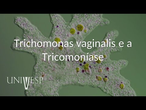 a Trichomonas megnyilvánulása