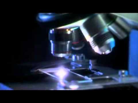 EFT_for_Pain_Relief.flv