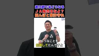【神谷宗幣 街頭】小泉進次郎で米価どうなる？JA・輸入米をめぐり激論—財務vs農水　#shorts