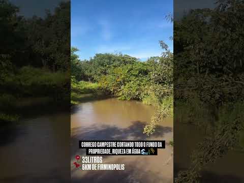 IMC FAZENDAS - 33 litros a 6 Km de Firminópolis - GO