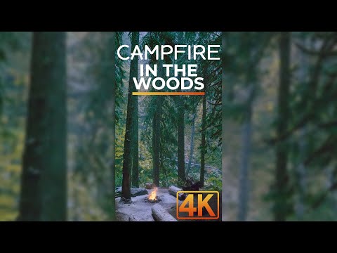 4K Relaxing Forest Campfire for Tablets & Phones - Nature Ambience of the Woods for Vertical Display