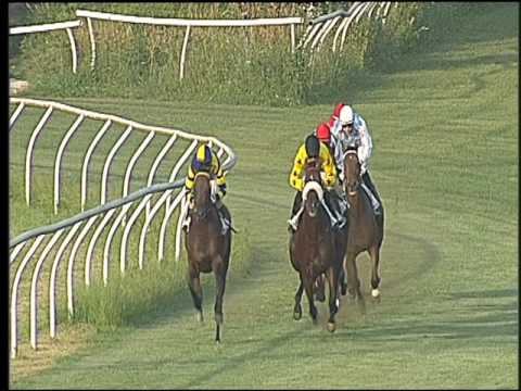 Galoppo 29/06/2016 - 4° corsa