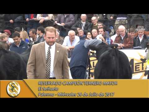 26-07-17 Jura Angus Ternero Mayor - Palermo.