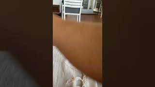 Video scasò
