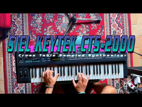 Siel Keytek CTS 2000 ultra rare Crosstable Synth + Original Case + Cartridge (SERVICED) 1986 image 18