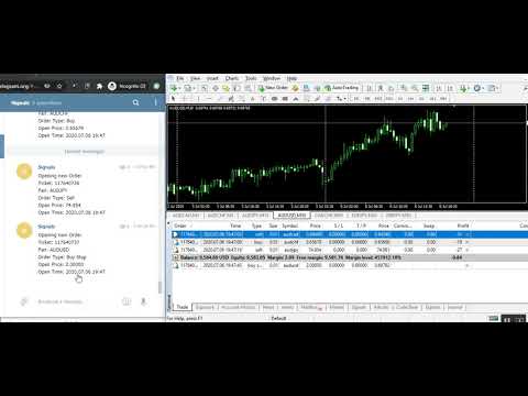 Video Send Orders Detail and statics MT5 To Telegram