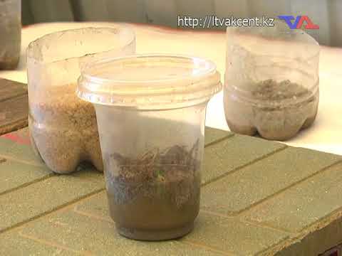 Выпуск программы «День» от 27 июля 2018г.