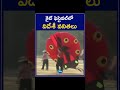 Foreigner Women At Kite Festival కైట్‌ ఫెస్టివల్‌లో విదే�