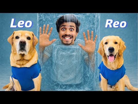 Leo & Reo Controlling My Life For 24 Hours | Biggest Mistake!! | Anant Rastogi