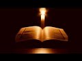 Beautiful Recitation Surah Baqarah By Sheikh Mishary Al Afasy For Wealth
