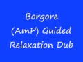 Borgore AmP Guided Relaxation Dub 