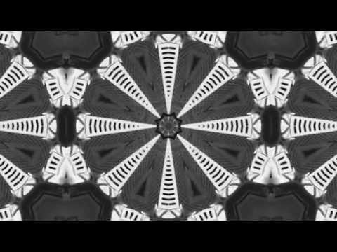 Purist - PURIST - BACK (Official Video)