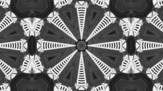 Video PURIST - BACK (Official Video)