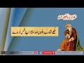Bulleh Shah Rab Rab Karde Budhe Ho Gaye Punjabi Poetry