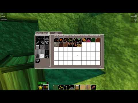 Colony Survival Shenanigans Part 1