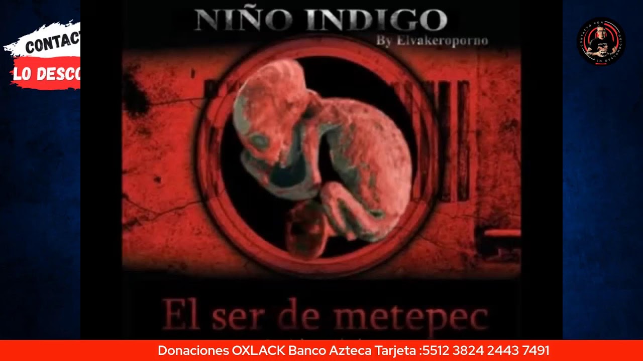 REACCIÓN A JUAN JESUS VALLEJO Parte 5