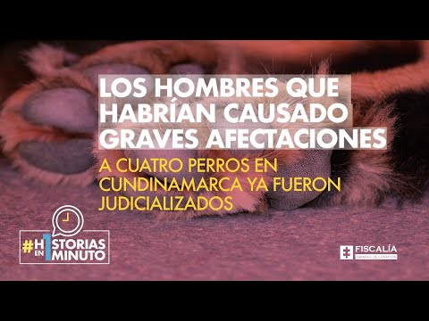 Hombres que habrían causado graves afectaciones a perros en Cundinamarca ya fueron judicializados