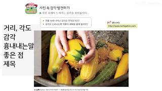 미술 4-1 3단원 감각을 찰칵! 다양한 감각을 사진으로 표현하기 2