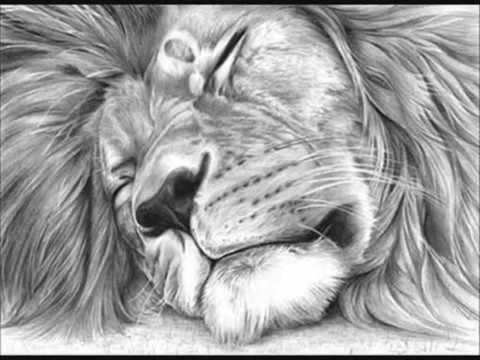 Life (HARDTEK) - DJxini