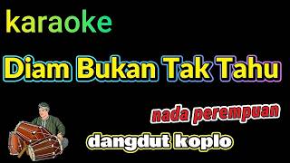 Download lagu DIAM BUKAN TAK TAHU - adella - KARAOKE DANGDUT KOPLO mp3