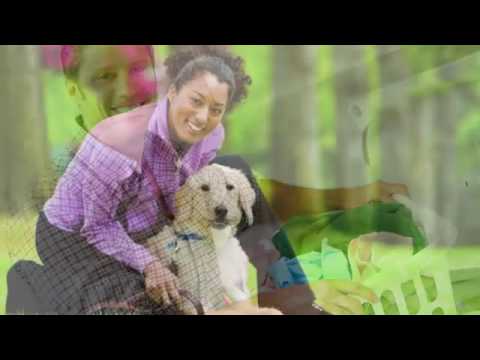 Santa Rosalia Homes Apartments in Los Angeles, CA - ForRent.com