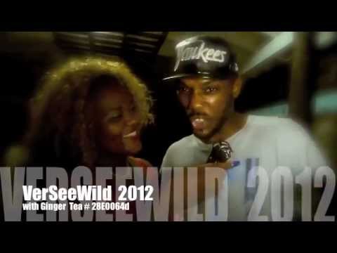 VerseeWild Remixed 2013- 630+Brek Off+ Froot Loops