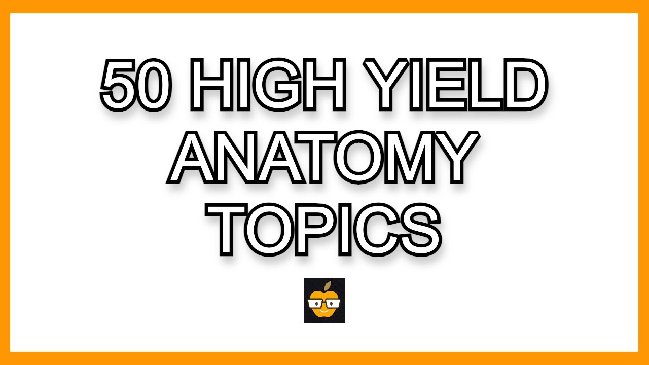 50 High Yield Anatomy Concepts