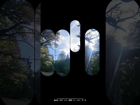 Playas y bosques para desconectar en Villa Pehuenia Neuquen