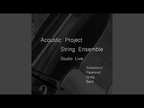 Concerto for Two Violins, BWV 1043: Allegro