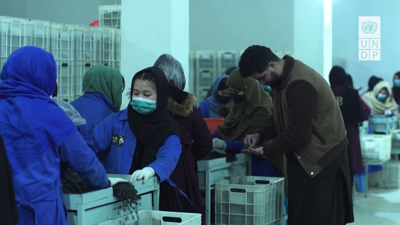 From 70 to 100 Jobs, 2000 Families
