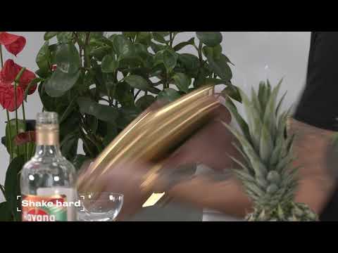 Havana Club Cuban Spiced Rum - The Key Serves - The Havana Club Cuban Spiced Pineapple Daiquiri